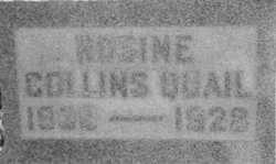Rosine <I>Collins</I> Quail 