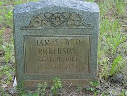 James E. “Bud” Roberson 