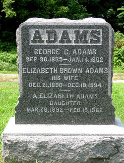 Amy Elizabeth Adams 