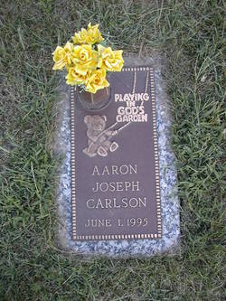 Aaron Joseph Carlson 