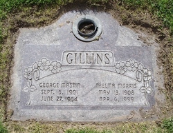 George Mastin Gillins 