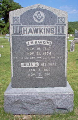 Julia Ann <I>Martin</I> Hawkins 