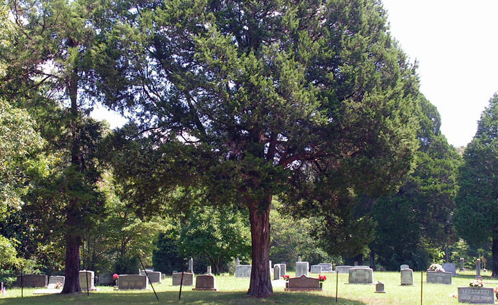 Manleyville Cemetery