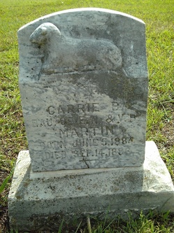 Carrie B Martin 