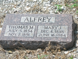 Thomas M Alfrey 