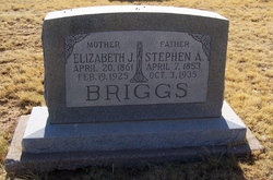 Elizabeth Jane <I>Smith</I> Briggs 
