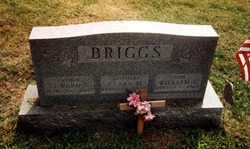 Clara Margaret <I>Junkins</I> Briggs 
