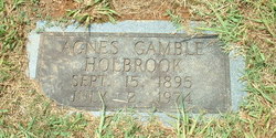 Agnes Gamble Holbrook 