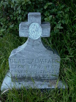 Blas Alvarado 
