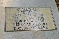 Charles Levi Youmans 