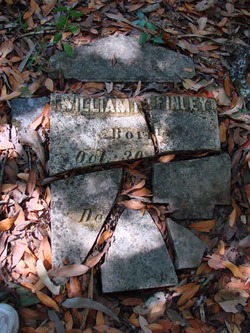 William D. Finley 