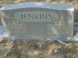 Pearlie Mae <I>Jenkins</I> Jenkins 