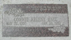 Connie Arlene <I>Palmer</I> Hall 