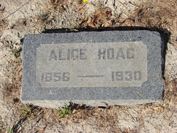 Alice <I>Arthur</I> Hoag 