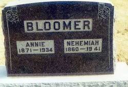 Nehemiah N. Bloomer 