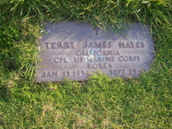Terry James Hayes 