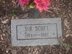 Sir Scott 