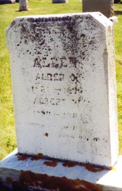 Alden Allen 