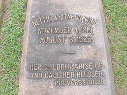 Jeanette Harvy “Nettie” <I>Whitaker</I> Cone 