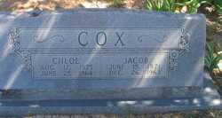 Jacob Cox 