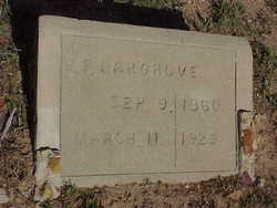 Benjamin Franklin Hargrove Jr.