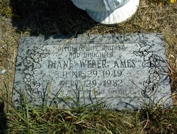 Diane <I>Weber</I> Ames 