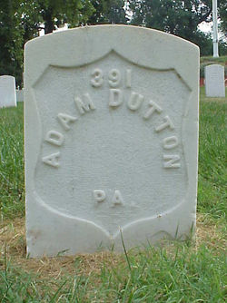 Adam Dutton 