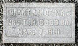 Infant Cobb 
