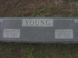 Wallace J Young 