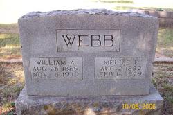 William A. Webb 