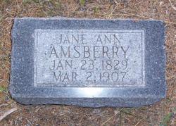 Jane Ann <I>Coffman</I> Amsberry 