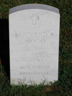 Bernard A Wood 