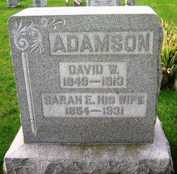 David W. Adamson 