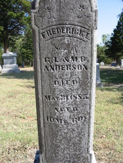 Frederick E. Anderson 