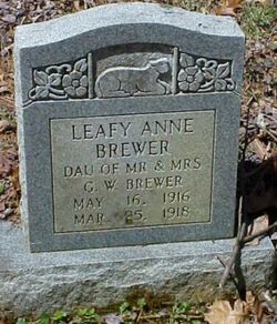Leafy Anne Brewer 