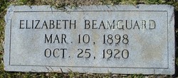 Elizabeth Lee Beamguard 