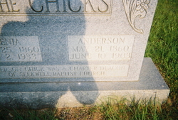 Anderson Chick 