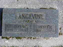 Agnes Annette “Nettie” <I>Walker</I> Angevine 