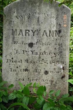 Mary Ann <I>Coons</I> Yancey 