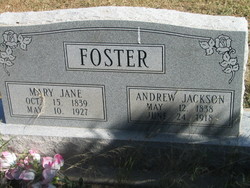 Andrew Jackson Foster 