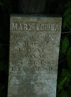Mary Louisa Barnes 