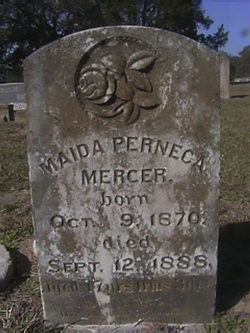 Maida Perneca Mercer 