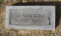 Susan Ann “Sue” <I>Alley</I> Bower 