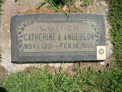 Catherine Ann “Kate” <I>Christianson</I> Anderson 