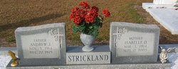 Andrew Jackson Strickland Sr.