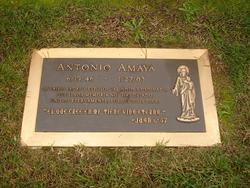 Antonio Amaya 