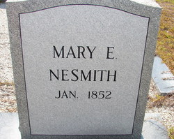 Mary Elizabeth <I>Denmark</I> Nesmith 