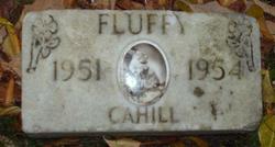 Fluffy Cahill 
