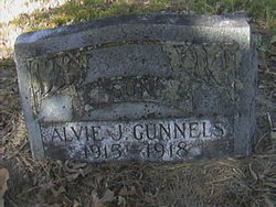 Alvie J Gunnels 