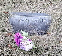 Mary Settie Annis 